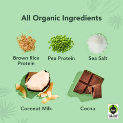 Chocolate Sea Salt Drinks - 4-Pack